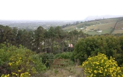 Cape Town - Constantia Nek