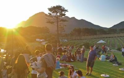 Noordhoek - cape point vinery