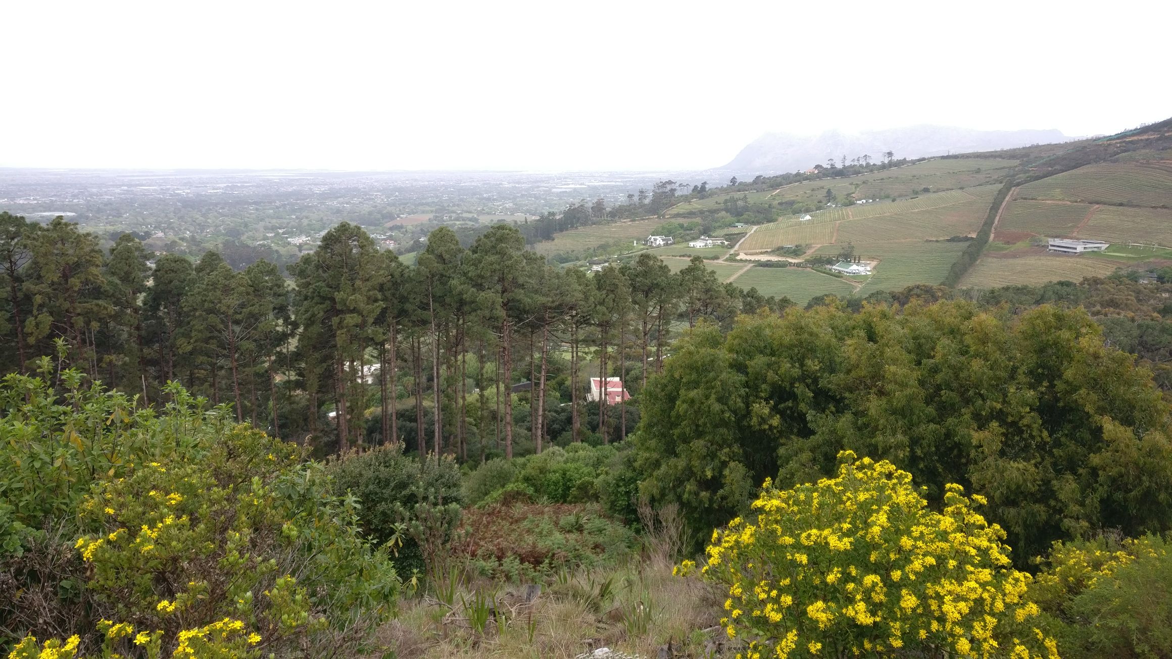 Cape Town - Constantia Nek