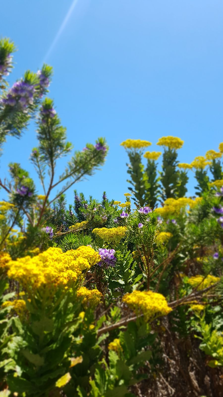 Nature Park Silvermine