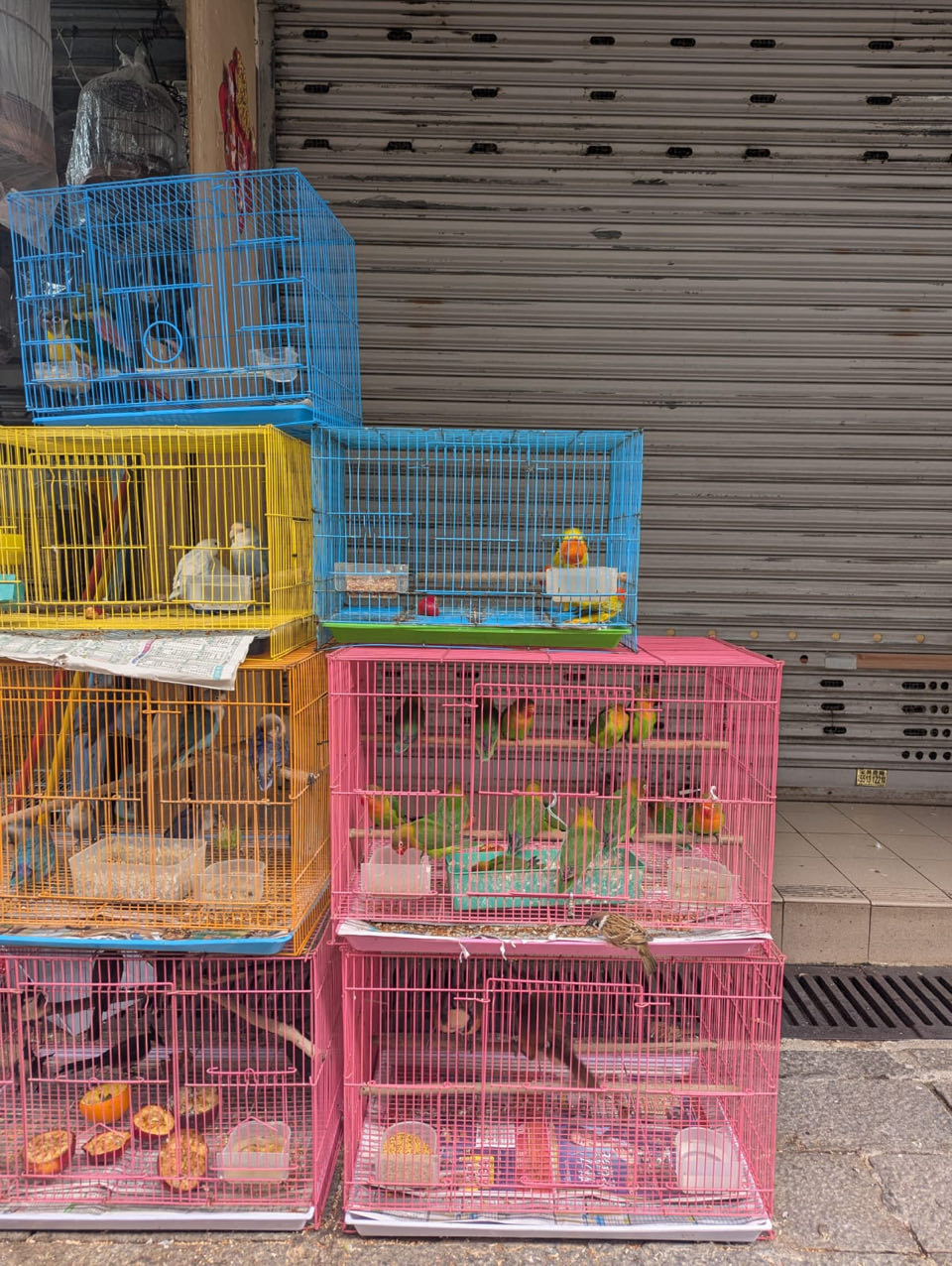 Beeld 9 bij Gebakken rijst, maneki neko & andere rituelen